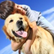Dogs to Help Children With ADHD